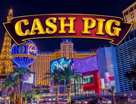Cash Pig