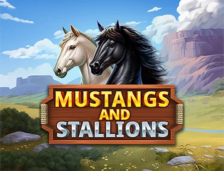 Mustangs and Stallions