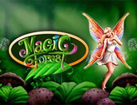 Magic Forest