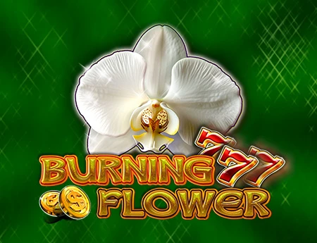 Burning Flower