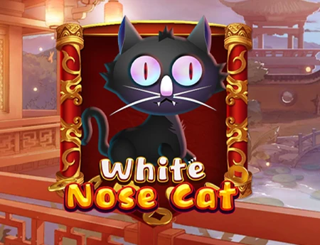 White Nose Cat