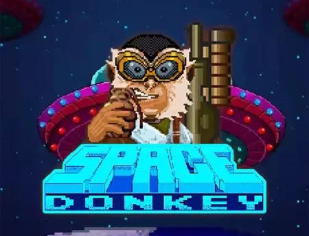 Space Donkey