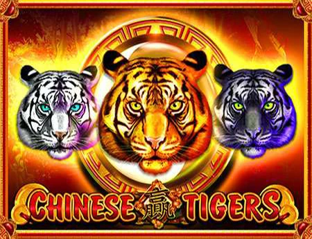 Chinese Tigers