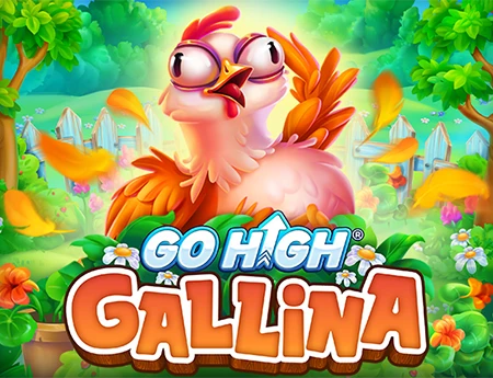 Go High Gallina