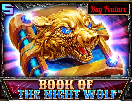 Book Of The NightWolf